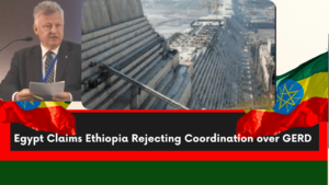 Read more about the article Egypt Claims that Ethiopia Rejecting Coordination Over GERD